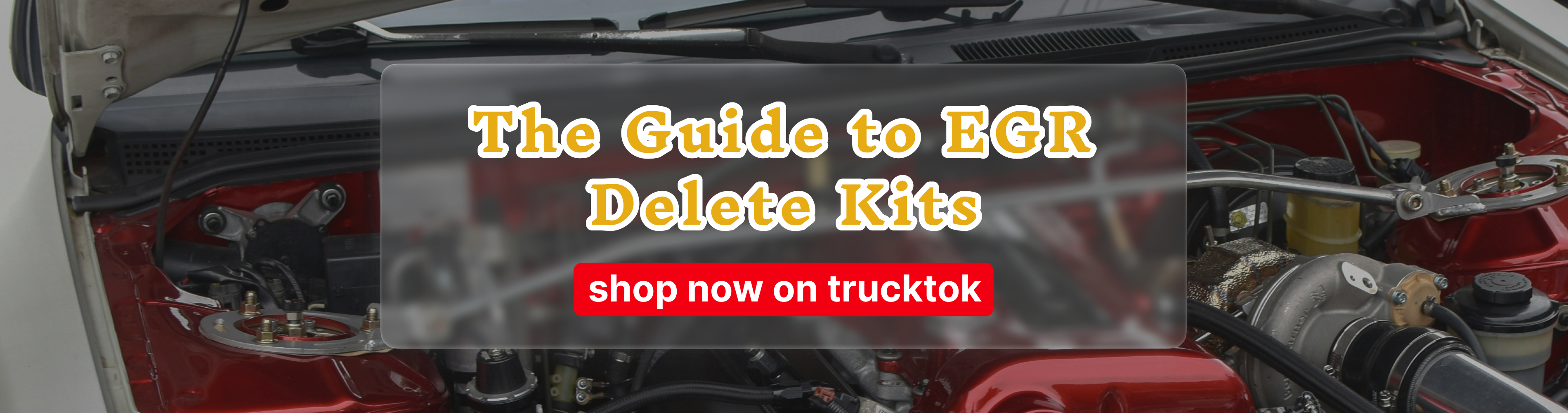 The Guide to EGR Delete Kits